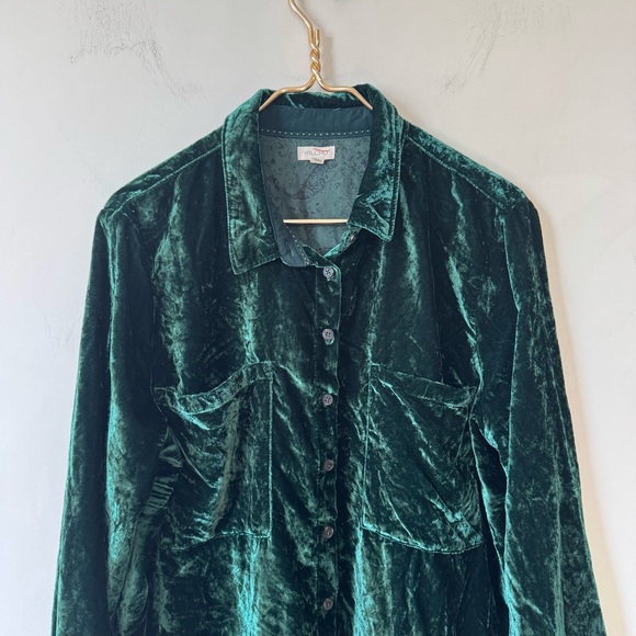 NWOT Anthropologie Pilcro The Hadley Relaxed Button Down Shirt Green Velvet XLP - Picture 6 of 10